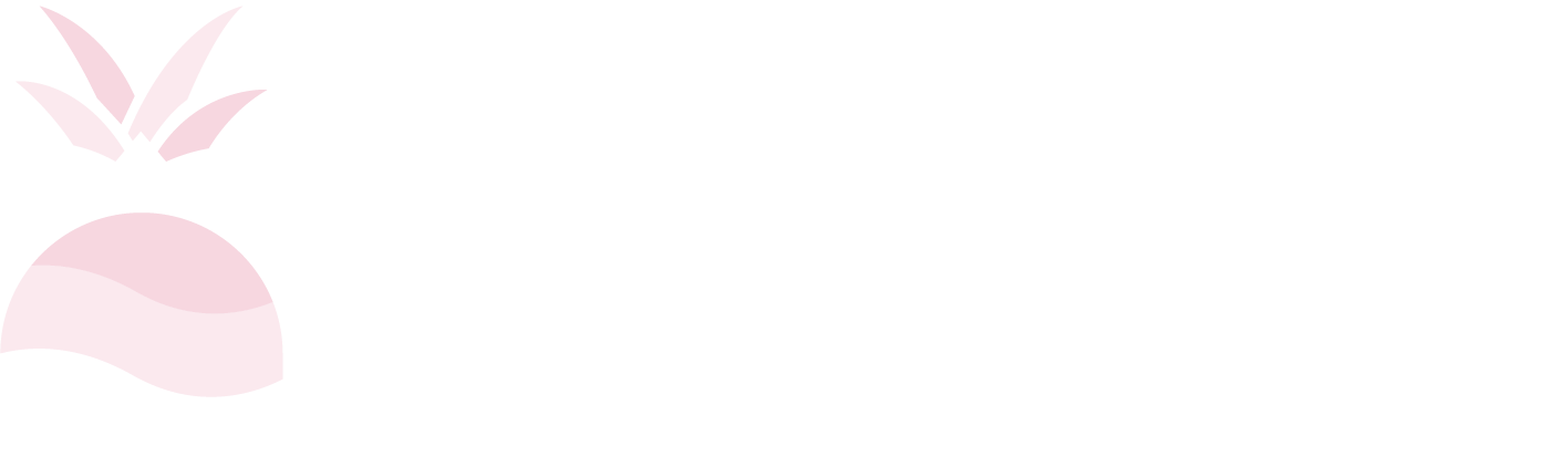 Vacayist • Vacay Brands LLC